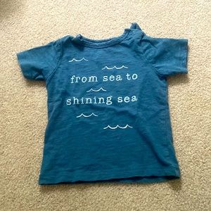 Little co. Patriotic toddler tshirt